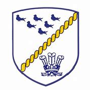 Felbridge and Sunnyside Cricket Club badge
