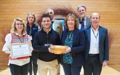 Gold award presentation
